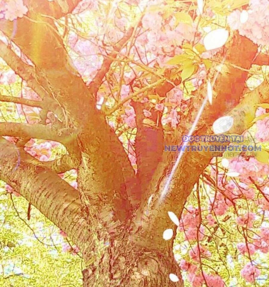 Nhà Soạn Nhạc Thiên Tài Đã Trở Lại - Chapter 54 - Page 129