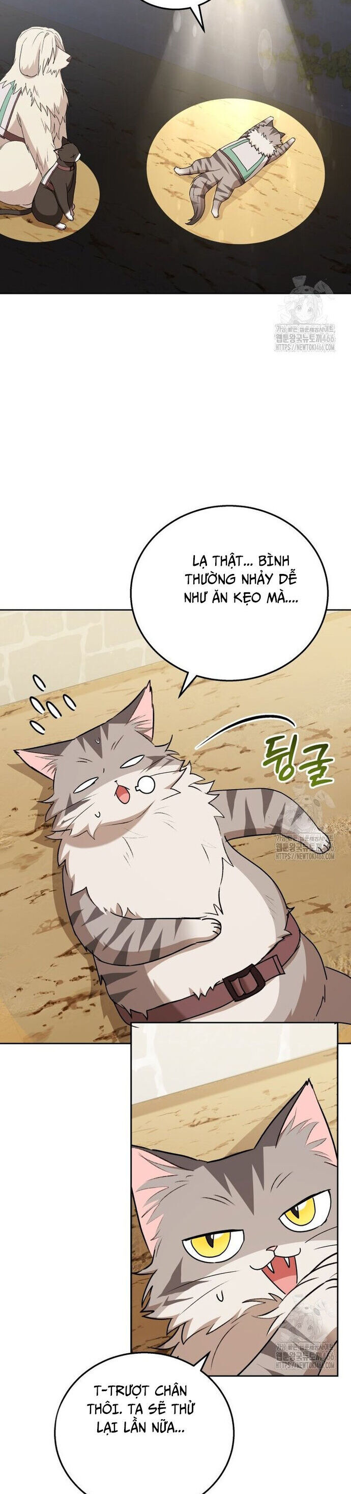 Xin Chào! Bác Sĩ Thú Y - Chapter 76 - Page 22