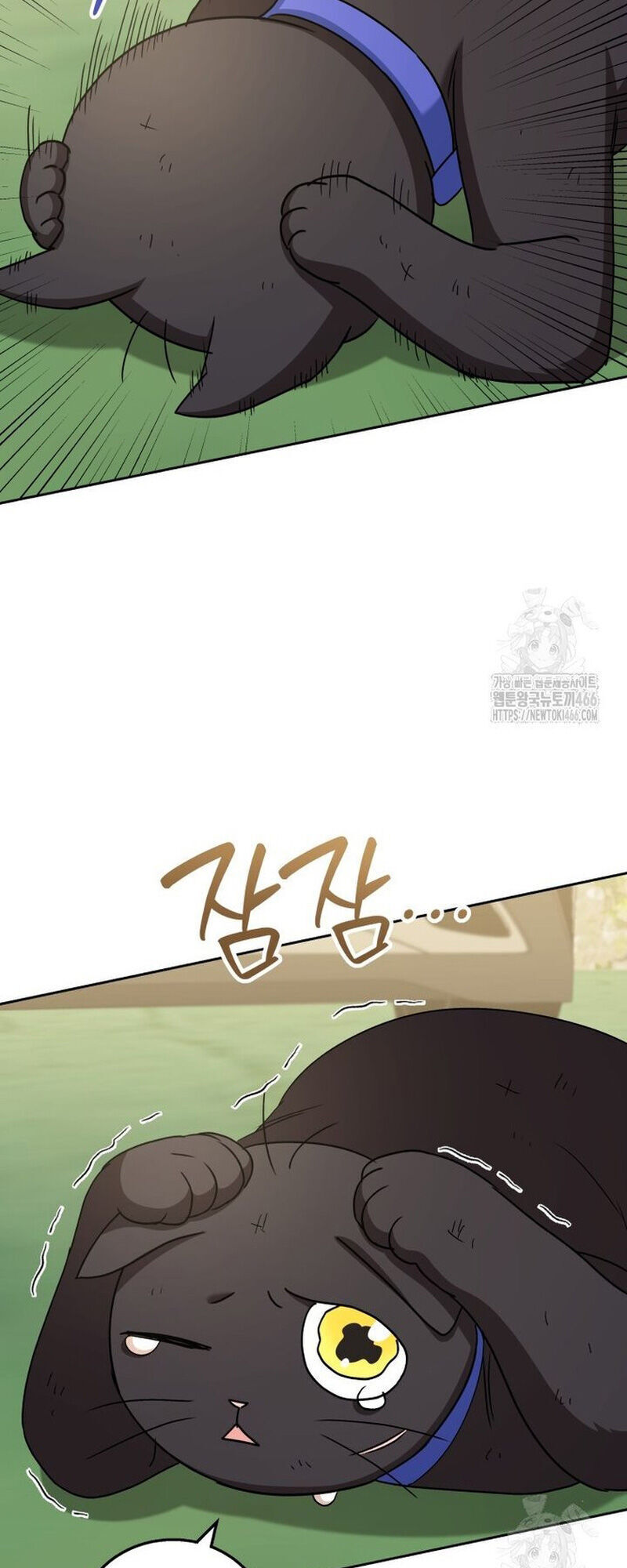 Xin Chào! Bác Sĩ Thú Y - Chapter 77 - Page 15