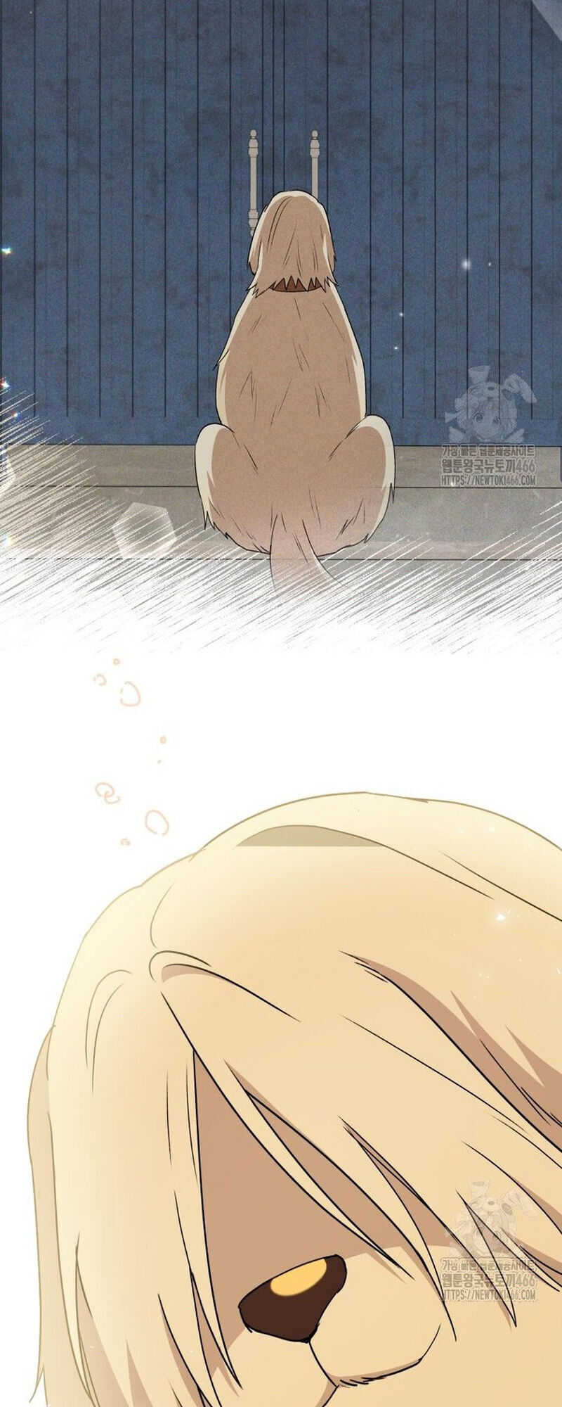 Xin Chào! Bác Sĩ Thú Y - Chapter 77 - Page 62