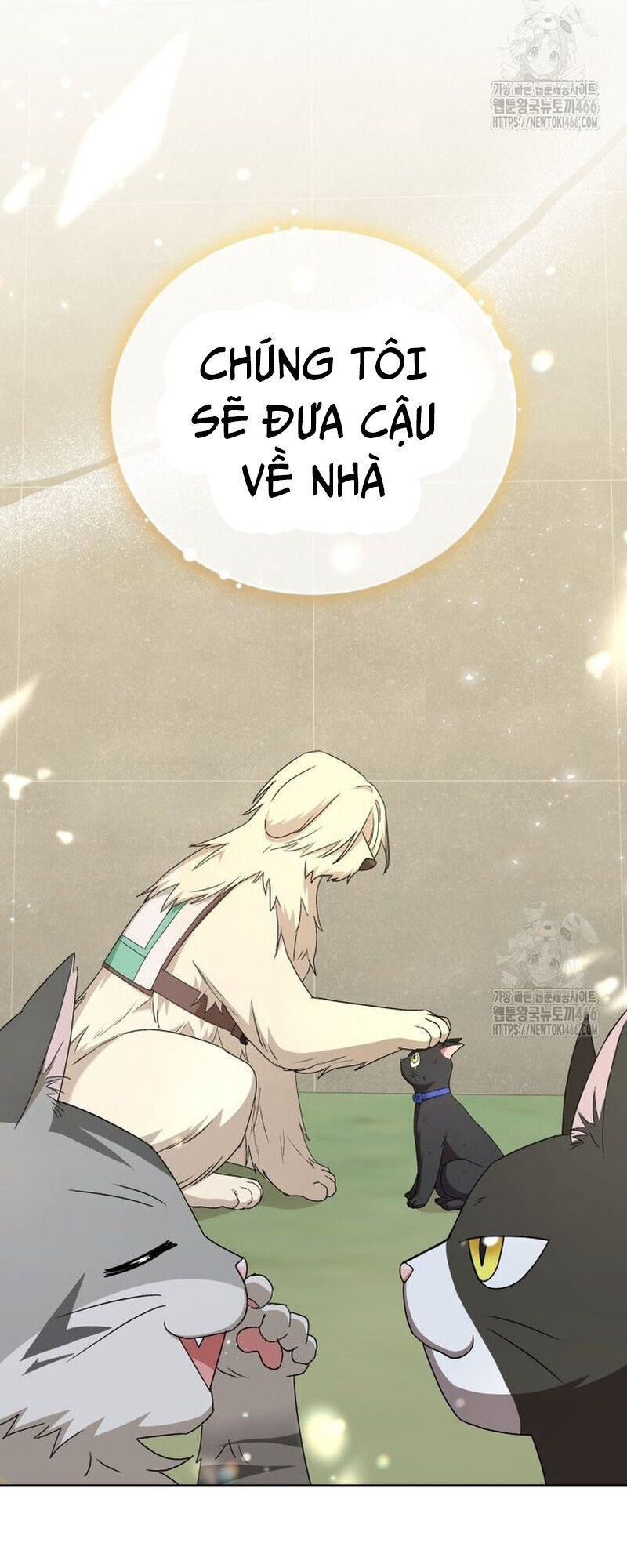 Xin Chào! Bác Sĩ Thú Y - Chapter 77 - Page 64