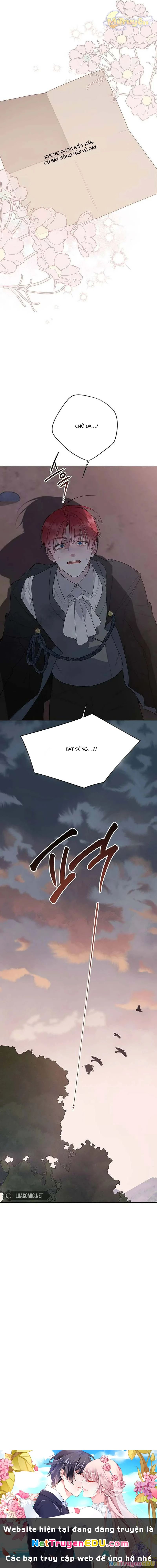 Bạo Chúa Bé Con - Chapter 99 - Page 11