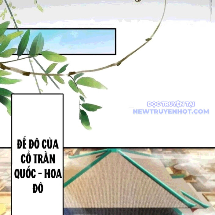 Hoá Ra Ta Đã Vô Địch Từ Lâu - Chapter 260 - Page 5