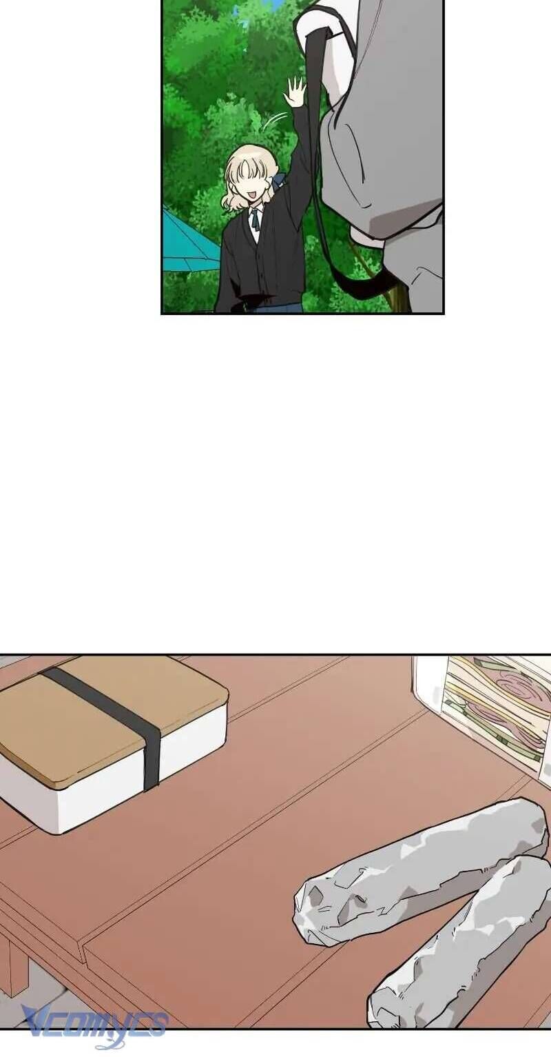 Điều Ước Sao Băng - Chapter 29 - Page 12