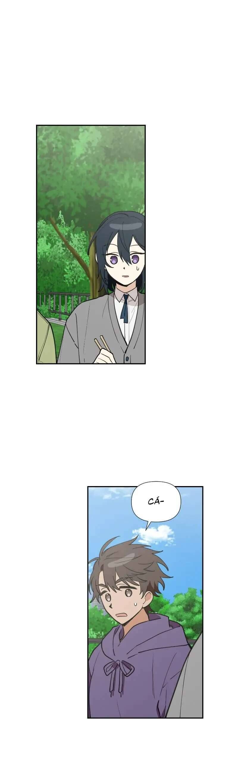 Điều Ước Sao Băng - Chapter 29 - Page 31