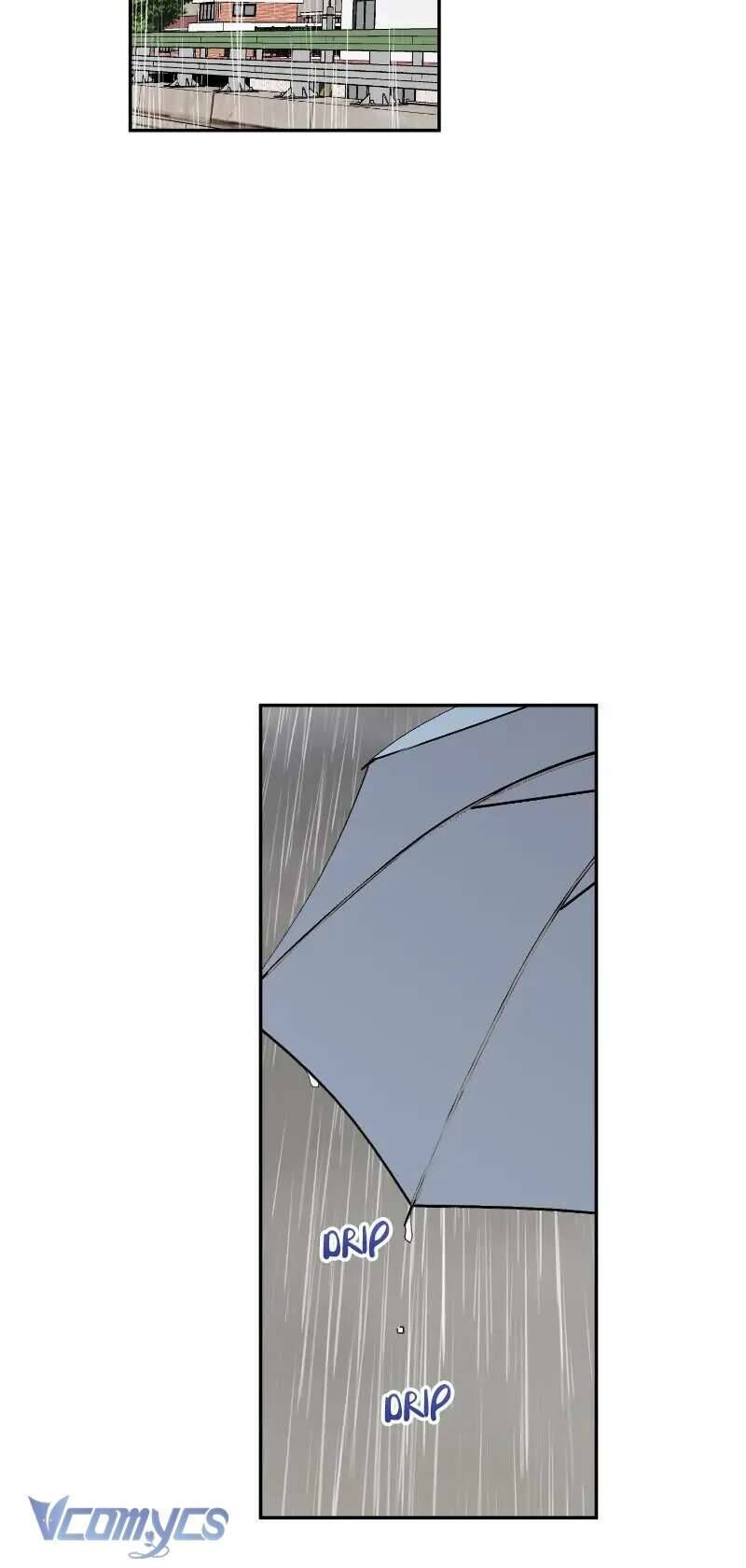 Điều Ước Sao Băng - Chapter 31 - Page 29