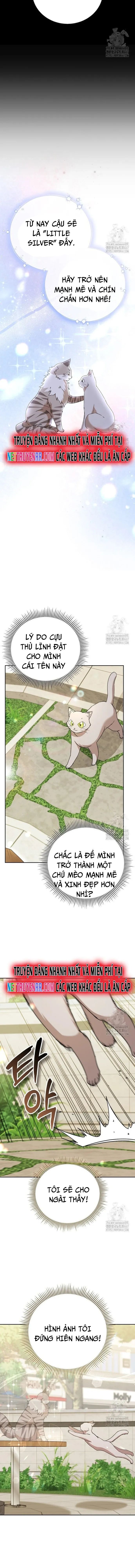 Xin Chào! Bác Sĩ Thú Y - Chapter 81 - Page 3