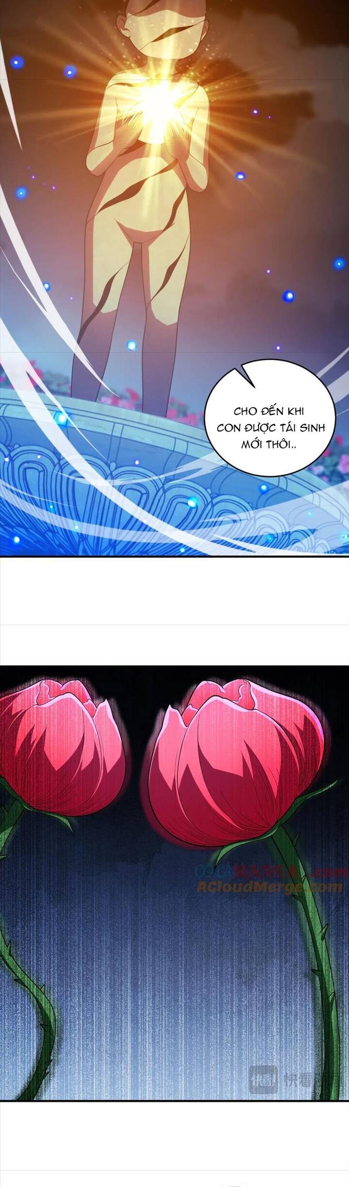 Thế Giới Bắt Đầu Từ Số Không - Chapter 43 - Page 36