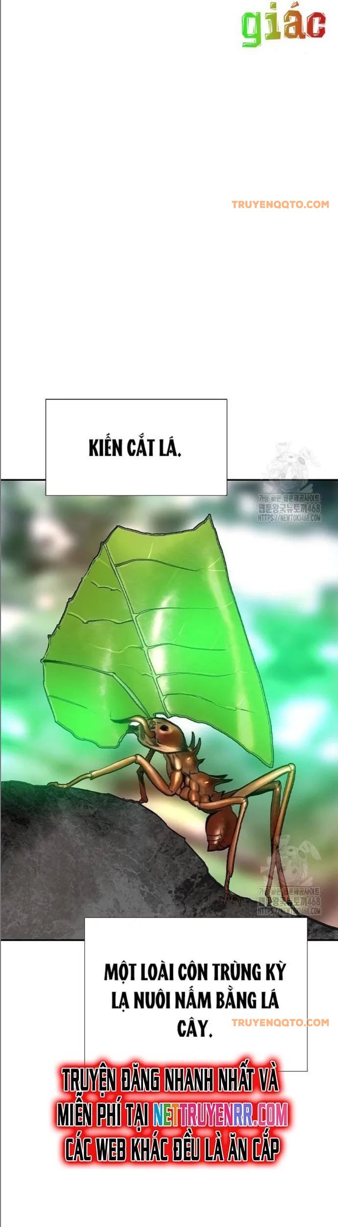Nhân Trùng Đại Chiến - Chapter 149.1 - Page 12