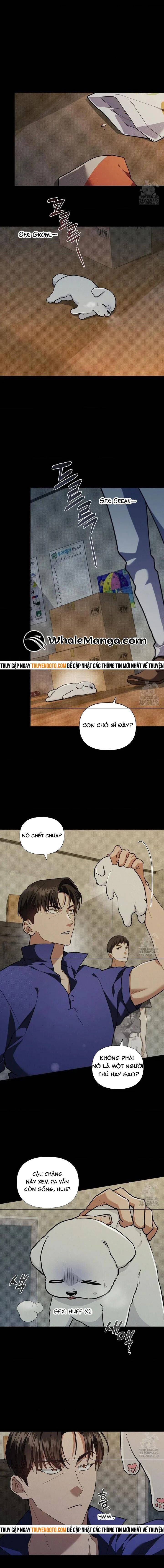 Đừng Đùa Với Cún Con - Chapter 16 - Page 3