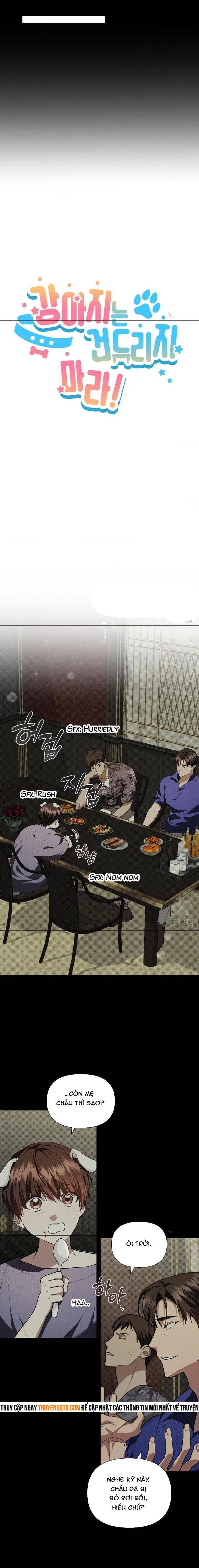 Đừng Đùa Với Cún Con - Chapter 16 - Page 5