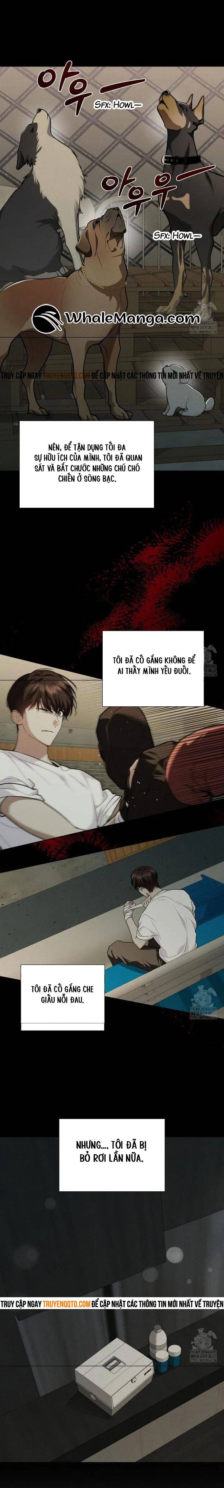Đừng Đùa Với Cún Con - Chapter 16 - Page 7