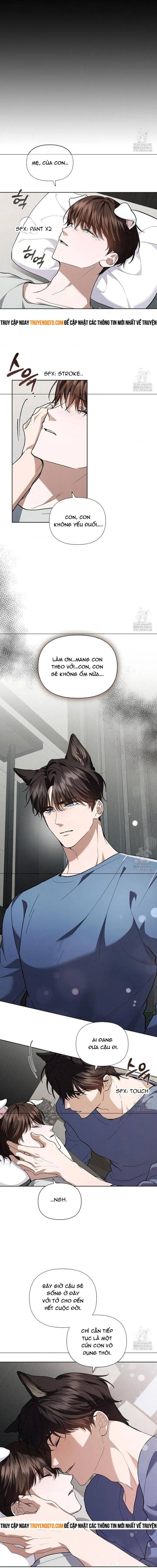 Đừng Đùa Với Cún Con - Chapter 16 - Page 8