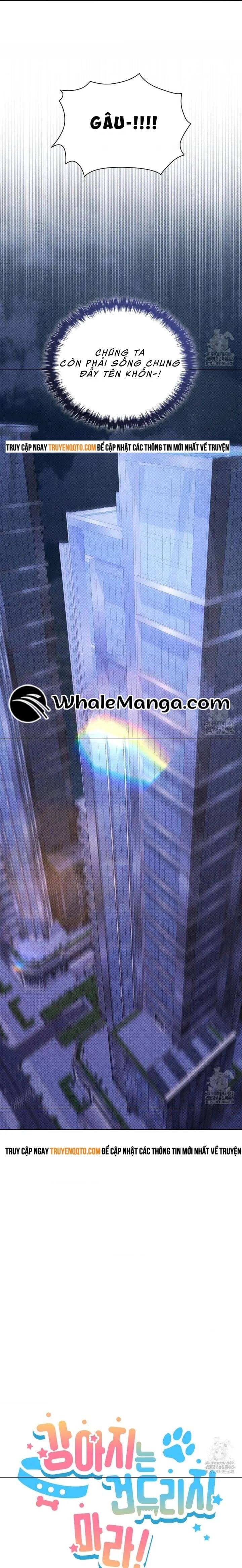 Đừng Đùa Với Cún Con - Chapter 19 - Page 11