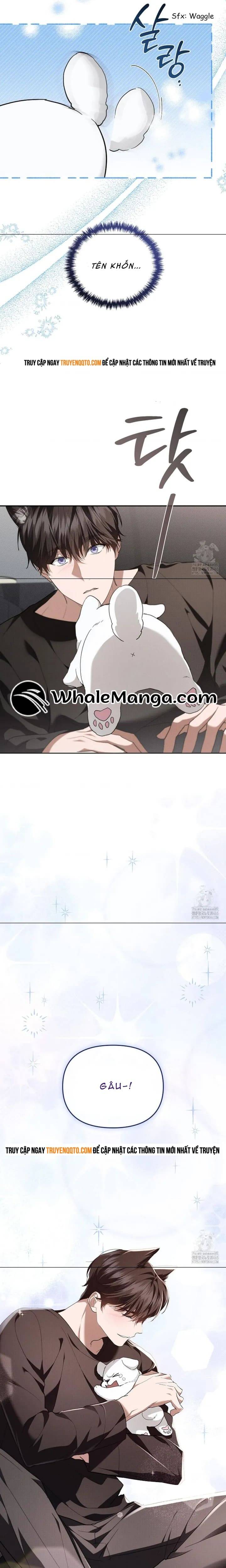 Đừng Đùa Với Cún Con - Chapter 19 - Page 17