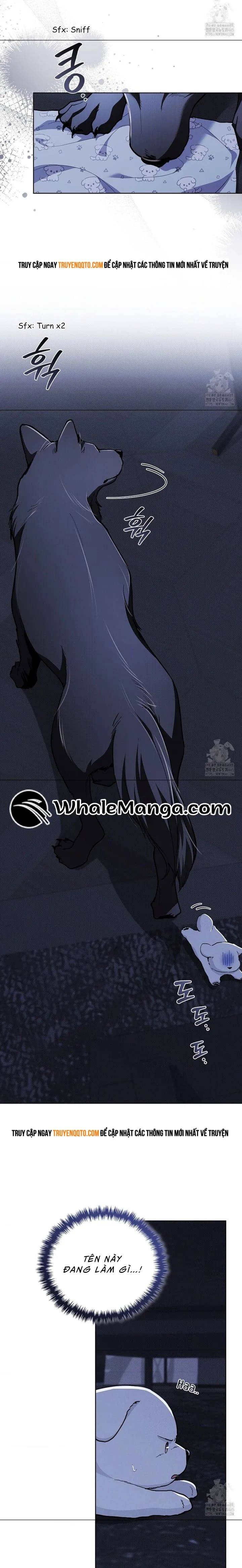 Đừng Đùa Với Cún Con - Chapter 19 - Page 9