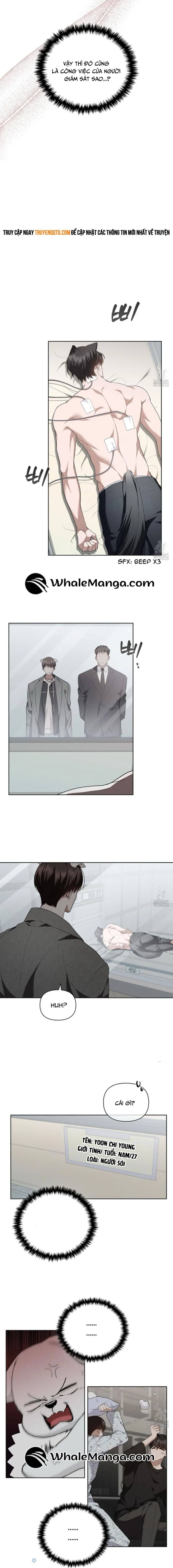 Đừng Đùa Với Cún Con - Chapter 20 - Page 15