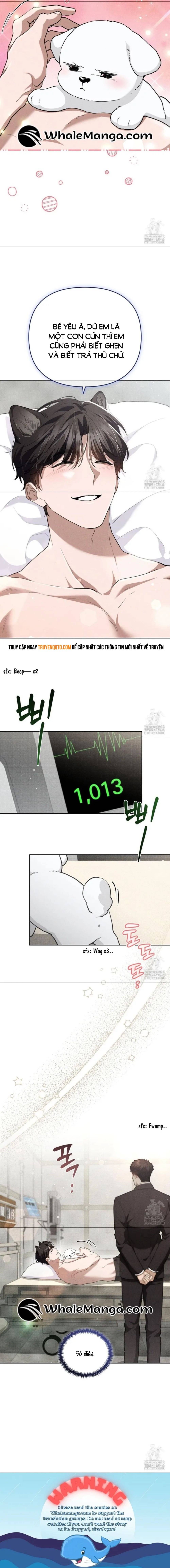 Đừng Đùa Với Cún Con - Chapter 21 - Page 7
