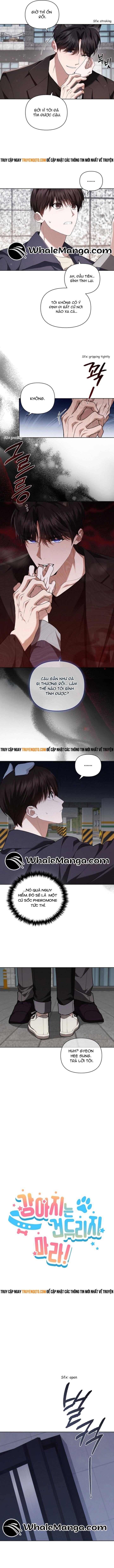 Đừng Đùa Với Cún Con - Chapter 24 - Page 3