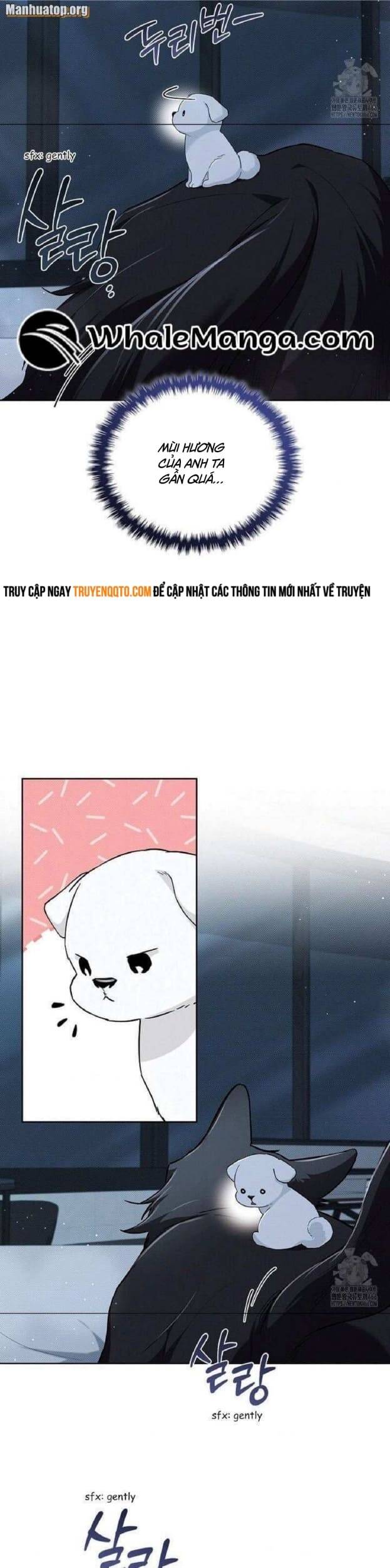 Đừng Đùa Với Cún Con - Chapter 27 - Page 12