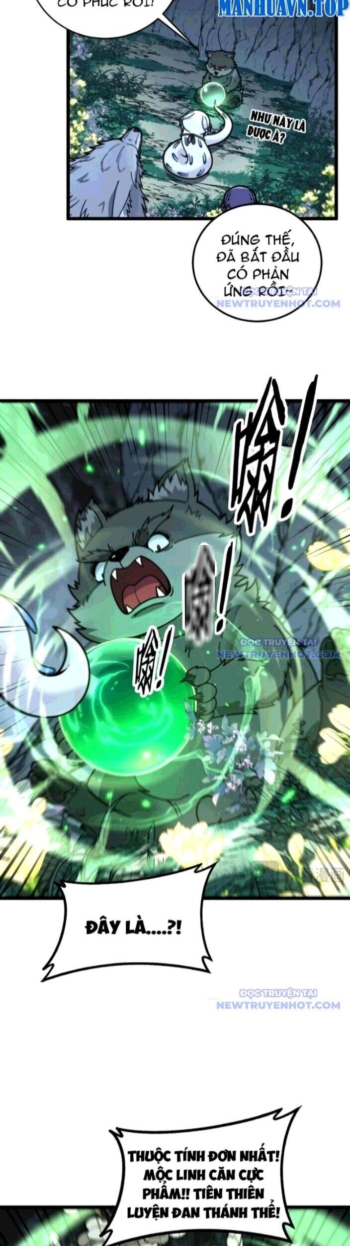 Lão Xà Tu Tiên Truyện Chapter 29 - Trang 3