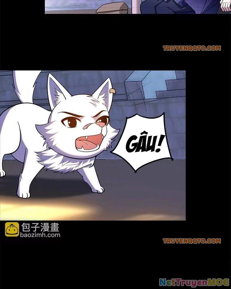 Huyễn Thú Của Ta Có Thể Tiến Hoá Vô Hạn - Chapter 22 - Page 38