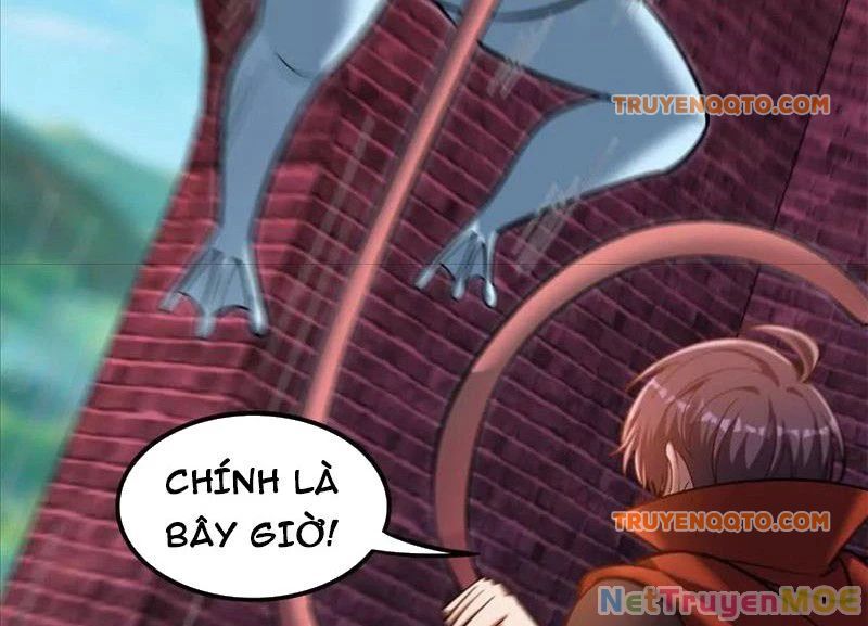 Huyễn Thú Của Ta Có Thể Tiến Hoá Vô Hạn - Chapter 23 - Page 74