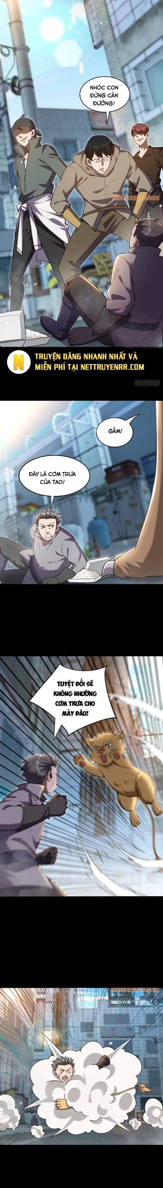 Huyễn Thú Của Ta Có Thể Tiến Hoá Vô Hạn - Chapter 3 - Page 6