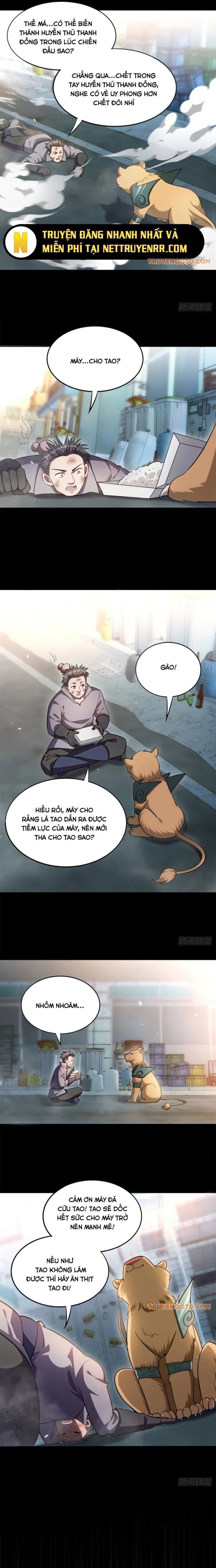 Huyễn Thú Của Ta Có Thể Tiến Hoá Vô Hạn - Chapter 3 - Page 7