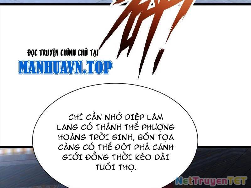 Hệ Thống Hèn Mọn Quỳ Xuống Cầu Xin Ta Vô Địch - Chapter 32 - Page 11