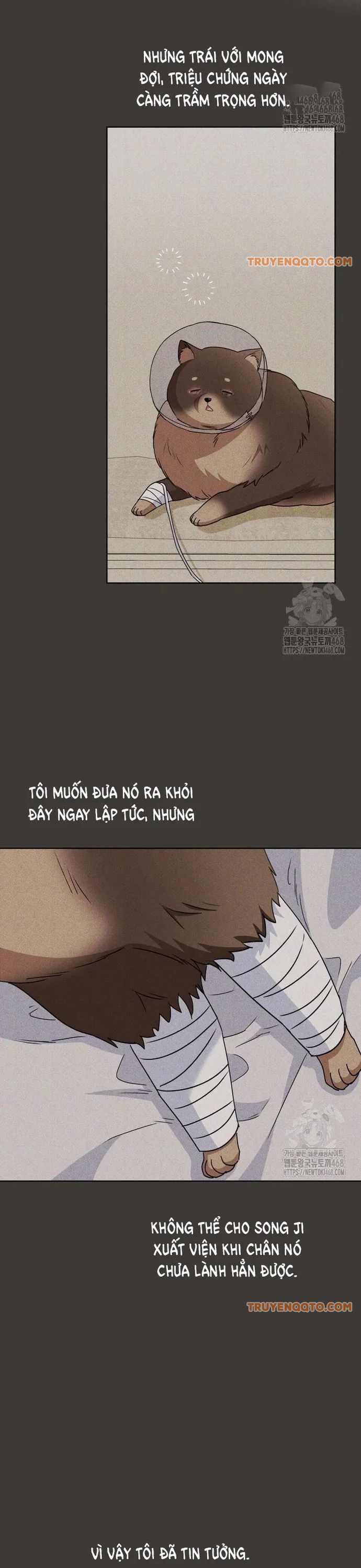 Xin Chào! Bác Sĩ Thú Y - Chapter 87 - Page 14