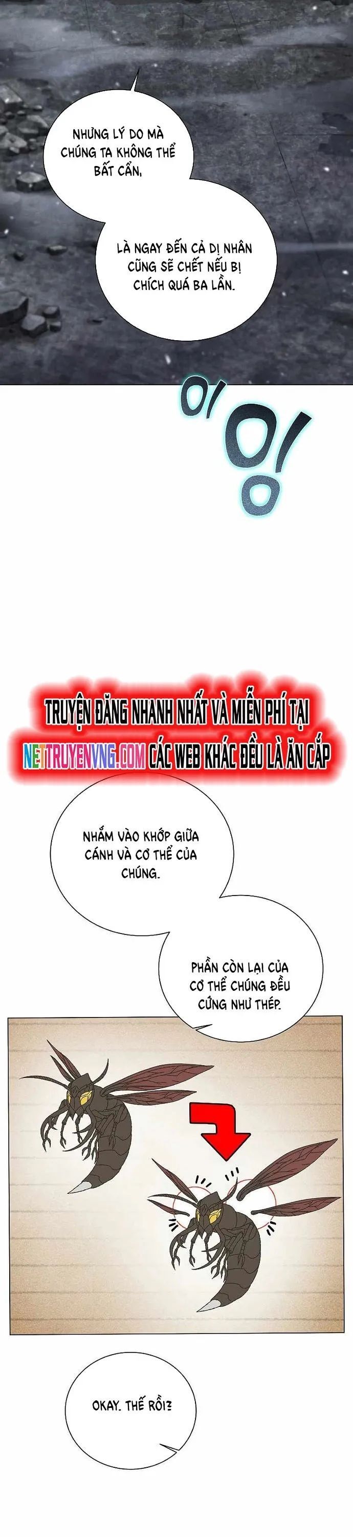 Thợ Săn Ăn Thịt Người - Chapter 42 - Page 37