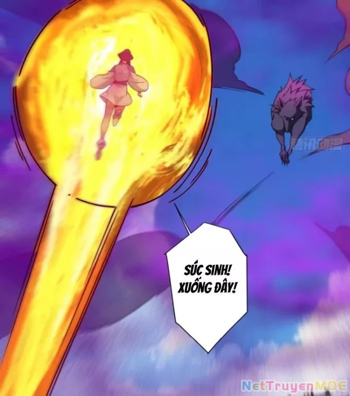 Đồ Đệ Của Ta Đều Là Đại Phản Phái Chapter 352 - Trang 14