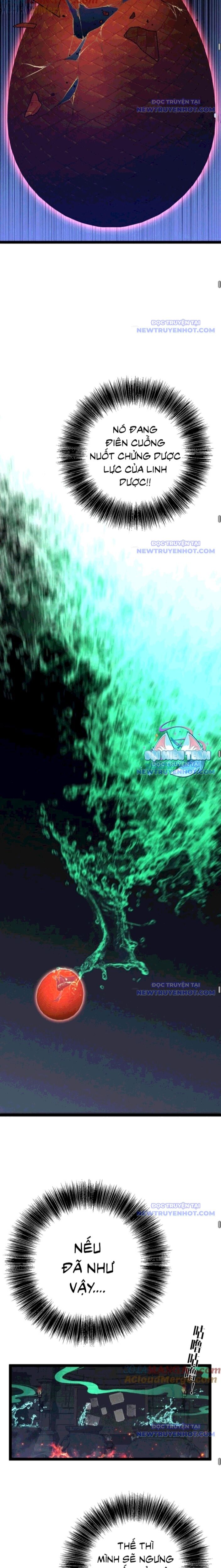 Thiên Phú Của Ngươi Giờ Là Của Ta - Chapter 98 - Page 10