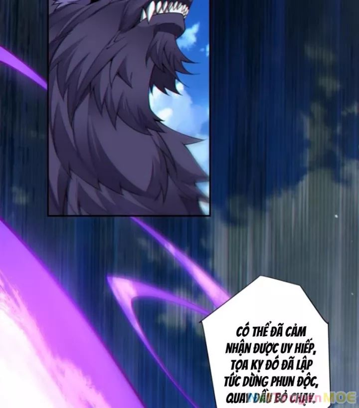 Đồ Đệ Của Ta Đều Là Đại Phản Phái Chapter 353 - Trang 10