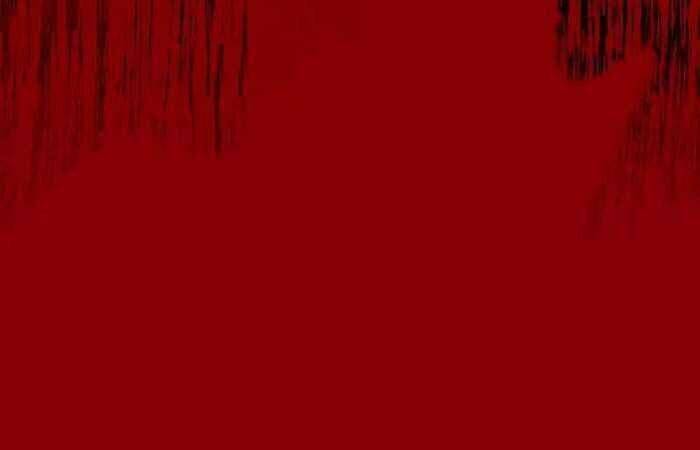 Nhật Hành Nhân - Chapter 17 - Page 161