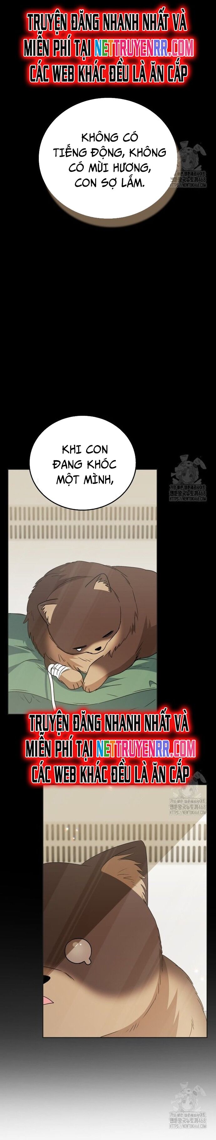 Xin Chào! Bác Sĩ Thú Y - Chapter 91 - Page 4