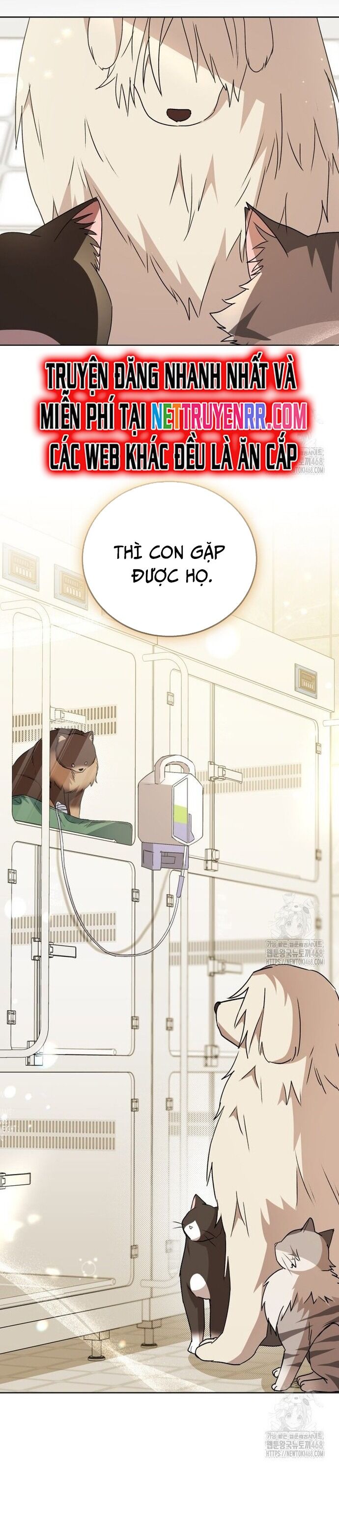 Xin Chào! Bác Sĩ Thú Y - Chapter 91 - Page 5
