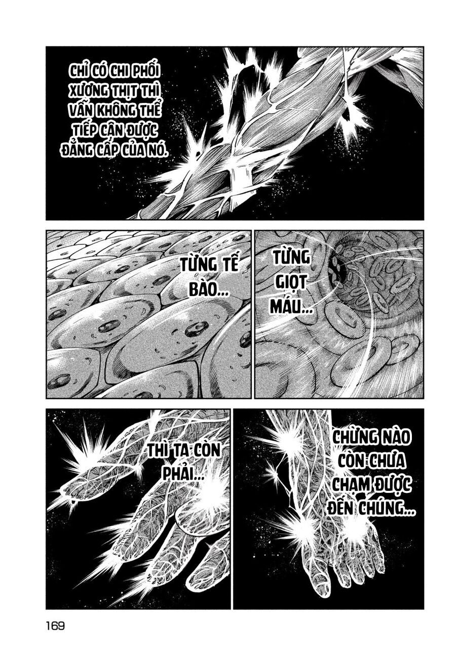 Tenkaichi - Thiên Hạ Đệ Nhất Võ Sĩ Đại Hội Chapter 46 - Trang 22