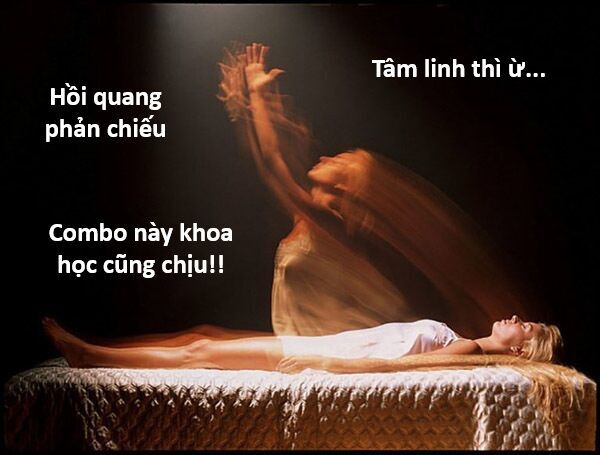 Hổ Đến Chơi Nhà - Chapter 132 - Page 125