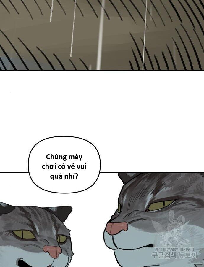 Hổ Đến Chơi Nhà - Chapter 132 - Page 42