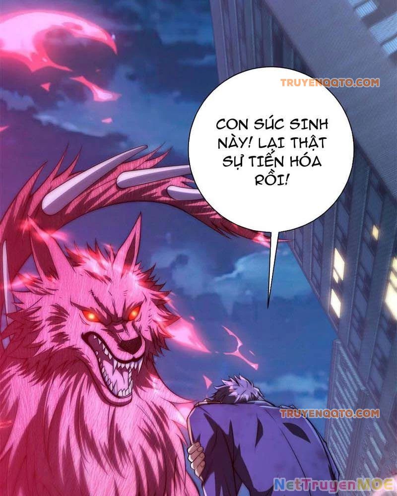 Dị Năng Trùng Sinh Ta Sớm Ở Đỉnh Cao Chapter 11 - Trang 2