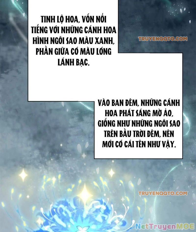 Dị Năng Trùng Sinh Ta Sớm Ở Đỉnh Cao Chapter 2 - Trang 16