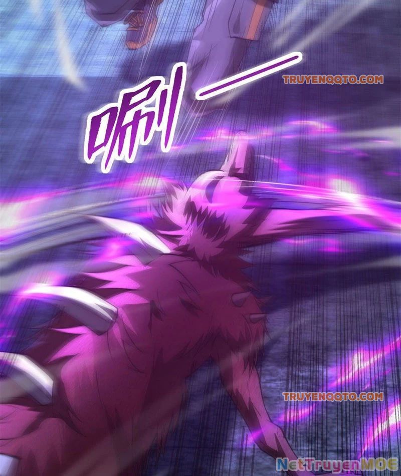 Dị Năng Trùng Sinh Ta Sớm Ở Đỉnh Cao Chapter 3 - Trang 7