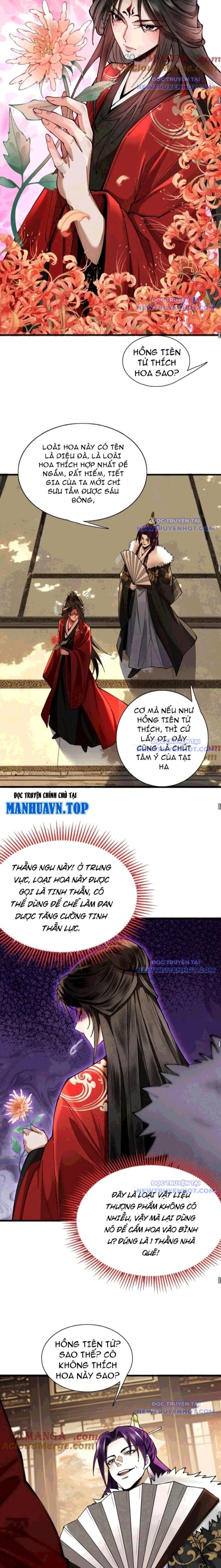 Gặp Mạnh Thì Càng Mạnh, Tu Vi Của Ta Không Giới Hạn - Chapter 28 - Page 11