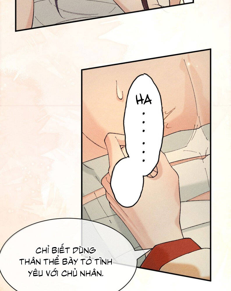 Hải Vương Sau Khi Hoàn Lương Sa Vào Tu La Tràng - Chapter 16 - Page 30