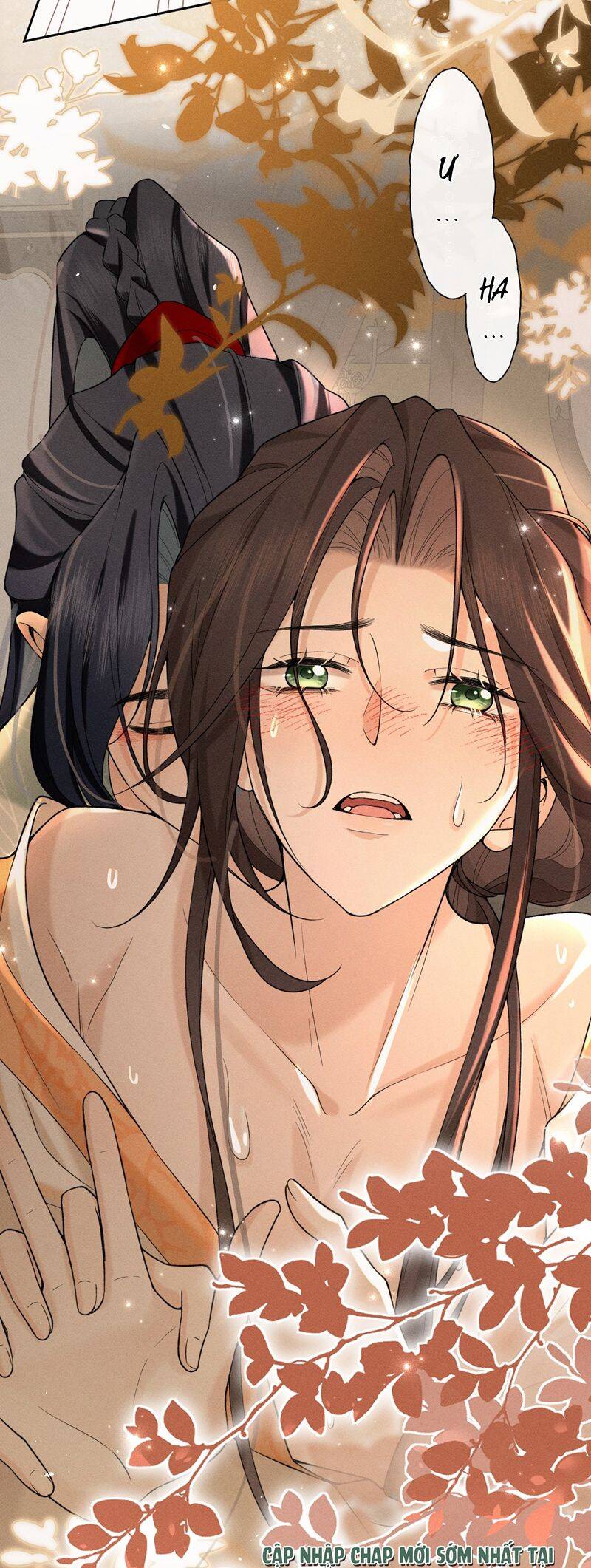 Hải Vương Sau Khi Hoàn Lương Sa Vào Tu La Tràng - Chapter 5 - Page 6