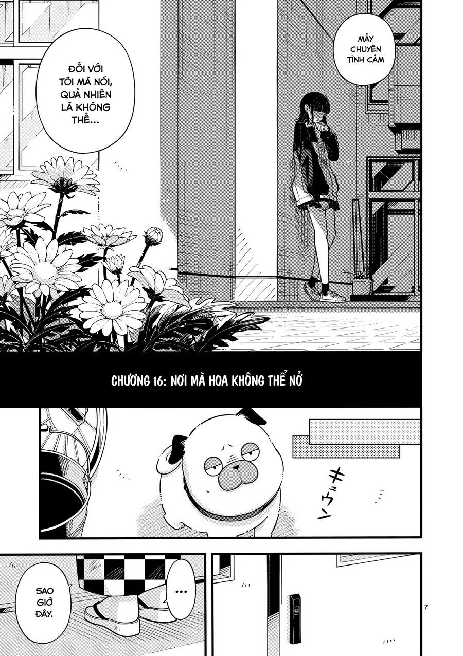 Nàng Sói Trót Phải Lòng Với Mặt Trăng - Chapter 16 - Page 7