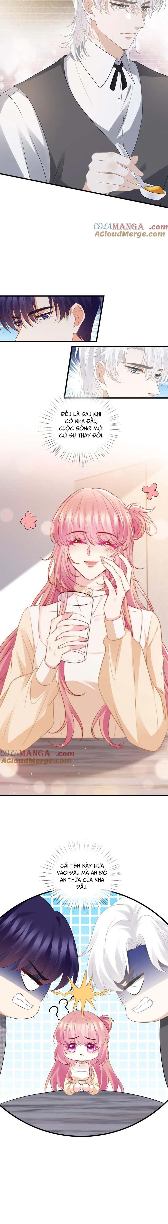 Danh Môn Chí Ái - Chapter 530 - Page 3