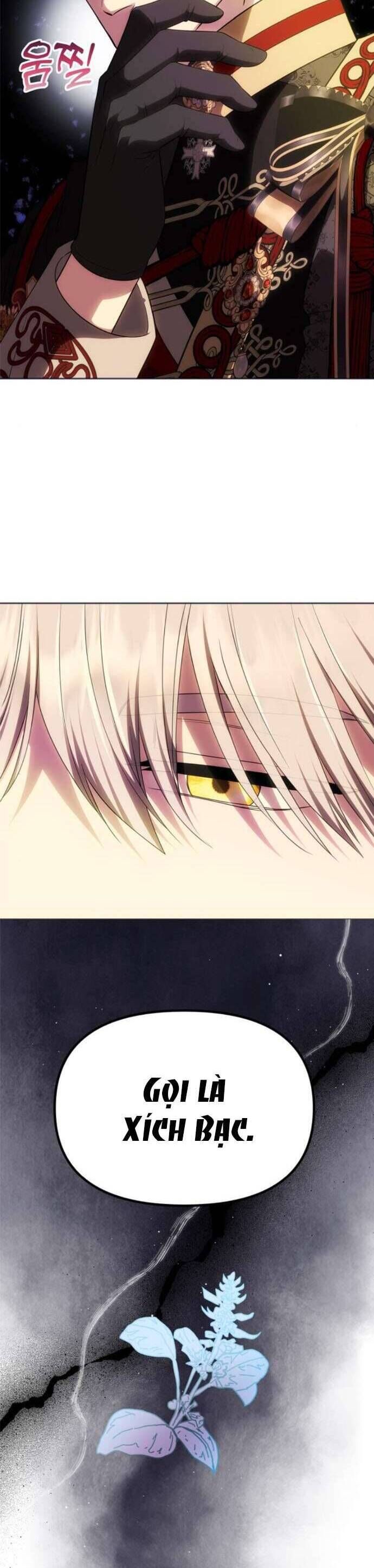 Chỉ Cần Một Người Chồng Là Đủ - Chapter 49 - Page 33